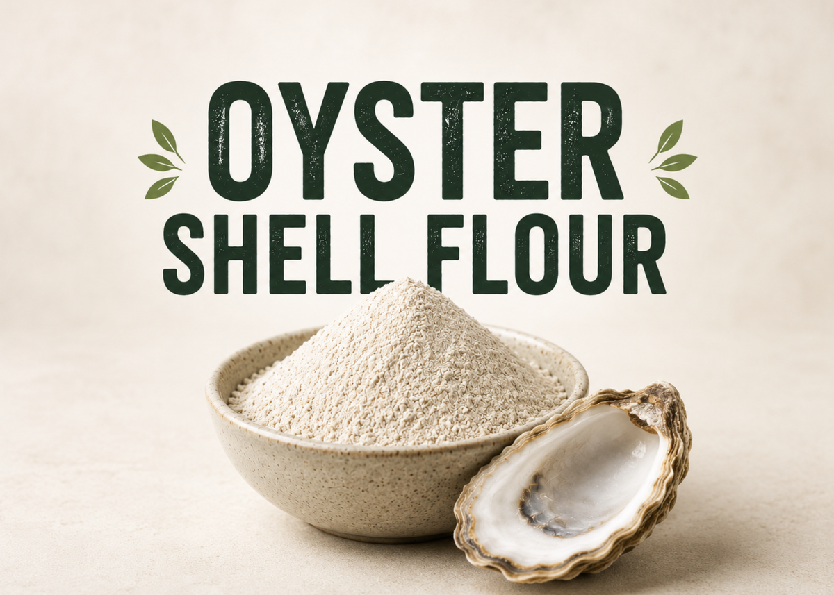 Oyster Shell Flour