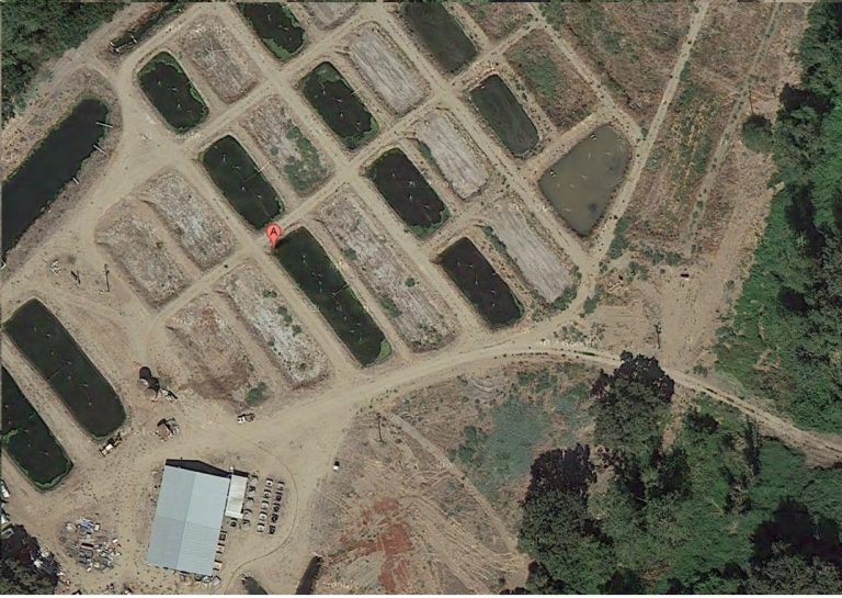 Vista aérea de una granja de lombrices estadounidense y sus estanques de cultivo